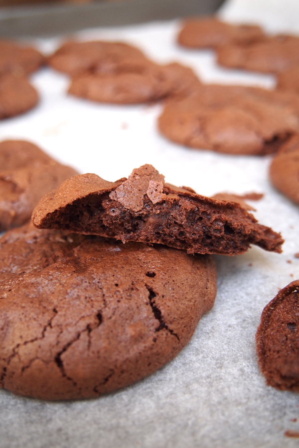 Merveilleux biscuit au chocolat (sans gluten ni beurre)